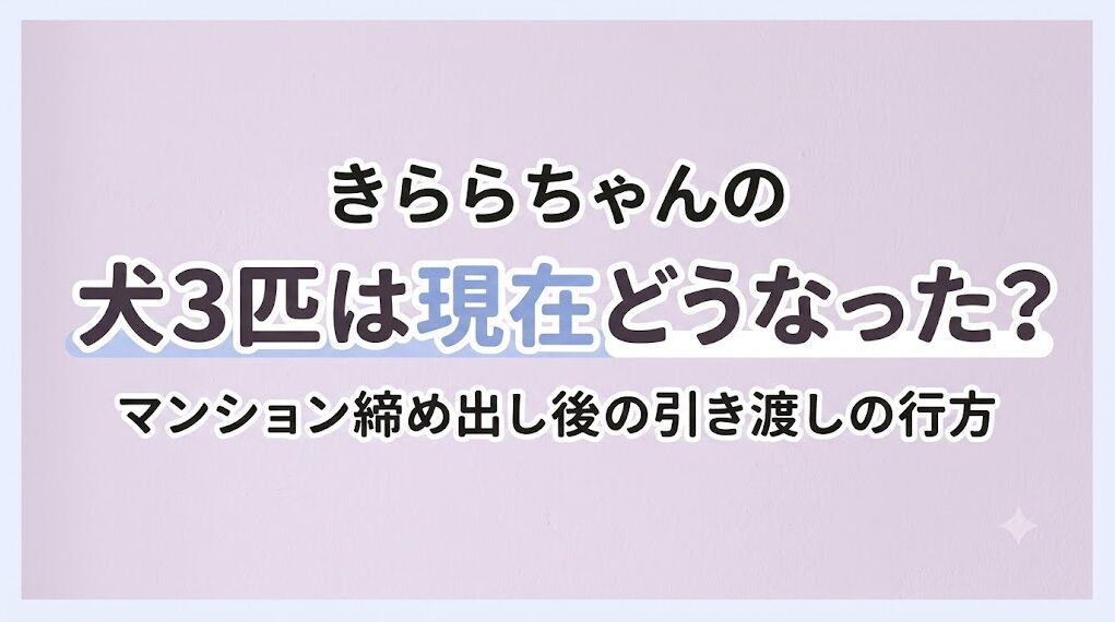 インフルエンサーきららちゃんの犬3匹は現在どうなった?マンション締め出し後の引き渡しの行方
